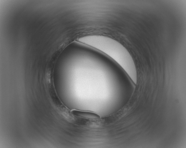 X0000062930368200601131120