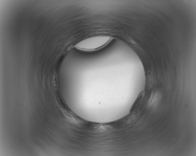 X0000062930379200601131121