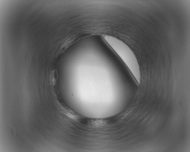 X0000062930383200601131121