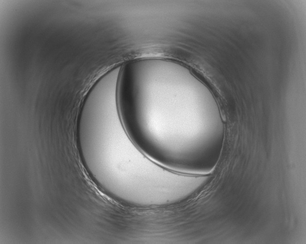 X0000062930385200601131120