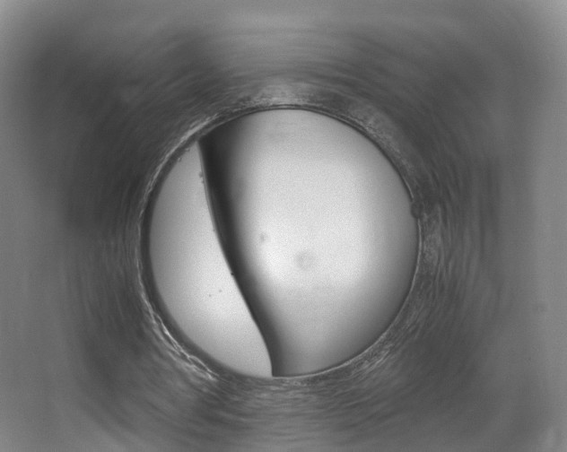 X0000062930386200601131120