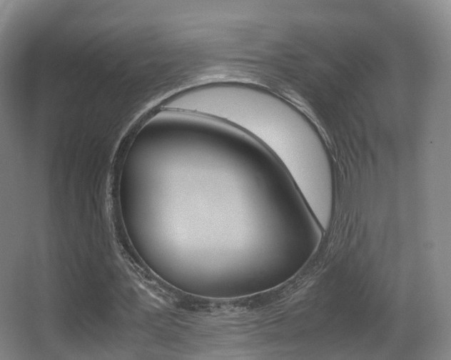X0000062930387200601131120