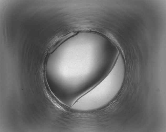 X0000062930389200601131120