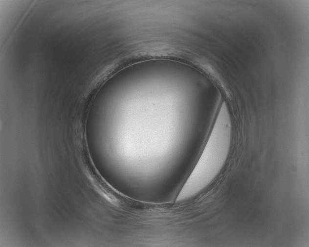 X0000062930397200601131120