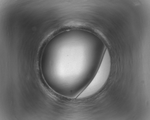 X0000062930399200601131119