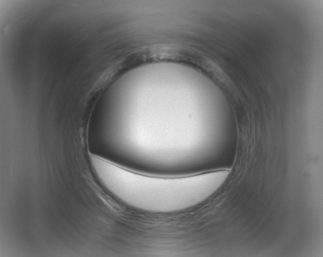 X0000062930401200601131119
