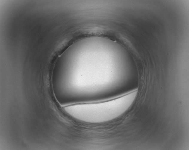 X0000062930403200601131119