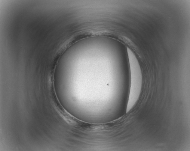 X0000062930405200601131119