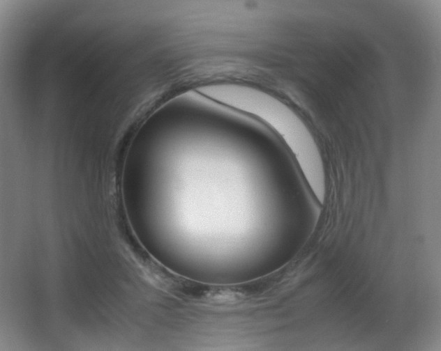 X0000062930407200601131119