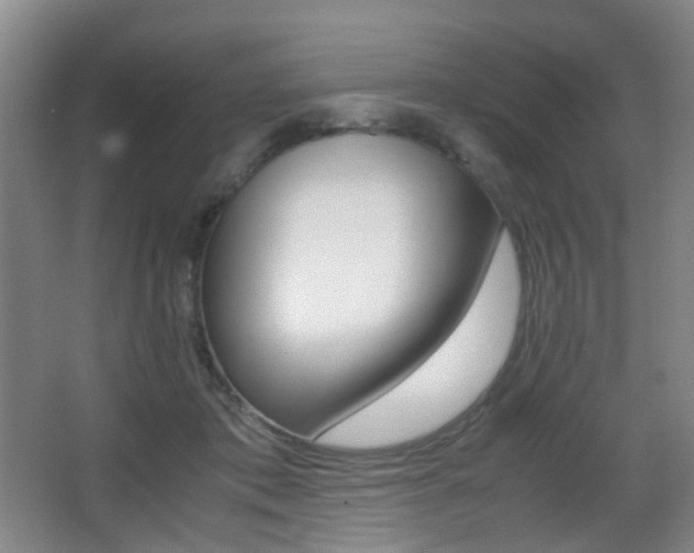 X0000062930413200601131119