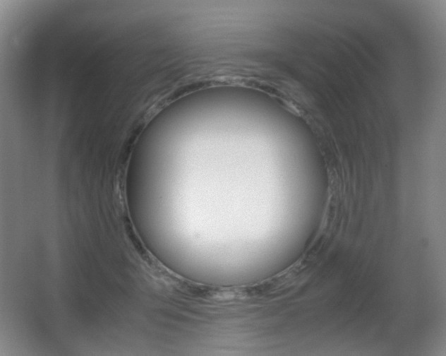 X0000062930415200601131119