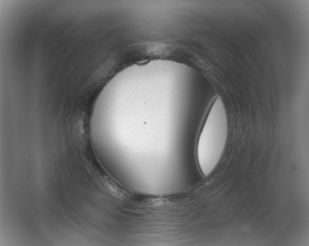 X0000062930424200601131119