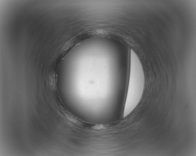X0000062930425200601131119