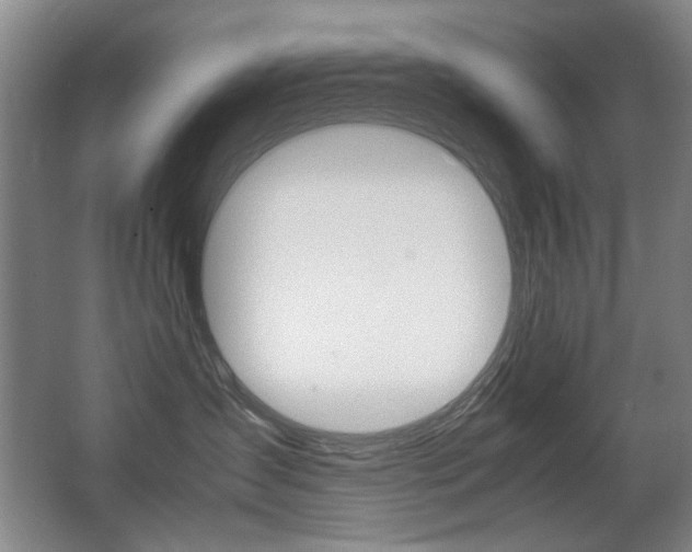 X0000062930431200601131119