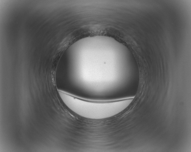 X0000062930432200601131119