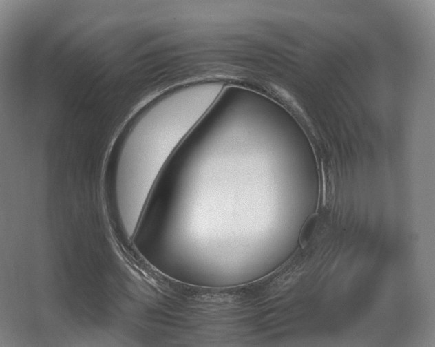 X0000062930435200601131118