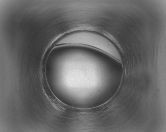 X0000062930436200601131118