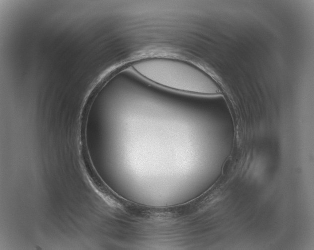X0000062930438200601131118