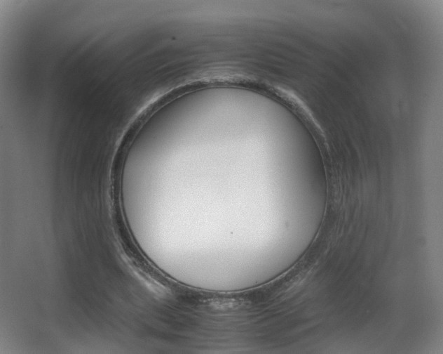 X0000062930439200601131118
