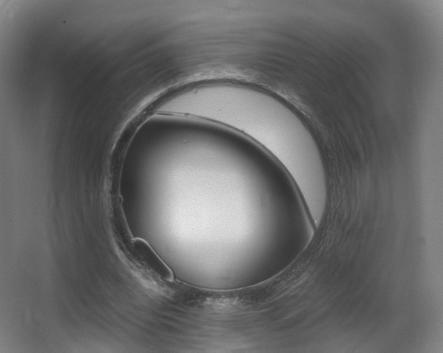 X0000062930440200601131118