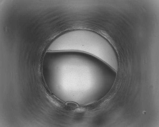 X0000062930441200601131118