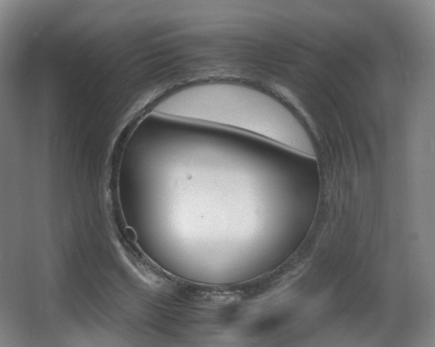 X0000062930443200601131118