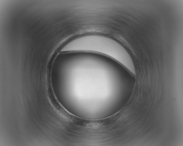 X0000062930444200601131118