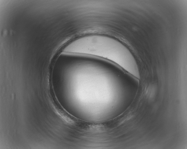 X0000062930446200601131118