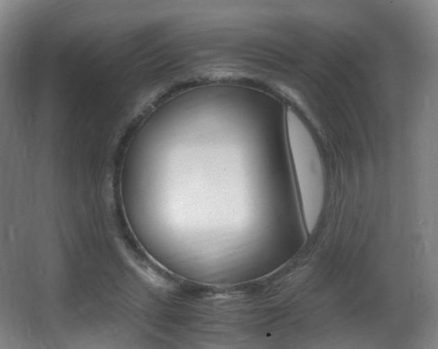 X0000062930447200601131118