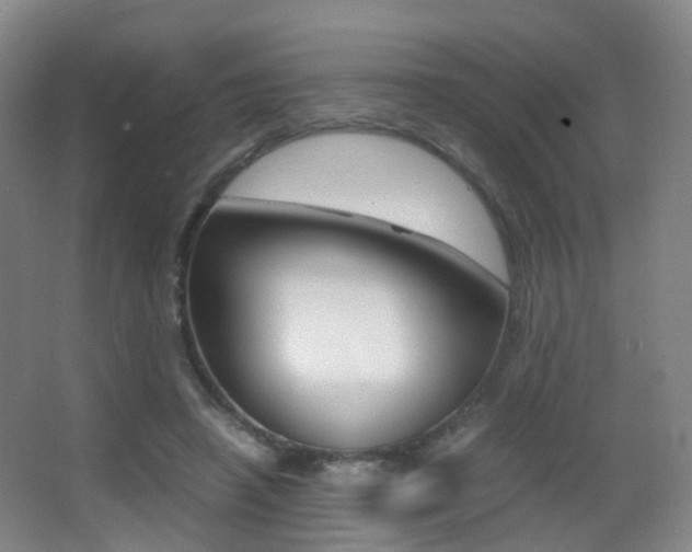 X0000062930450200601131118