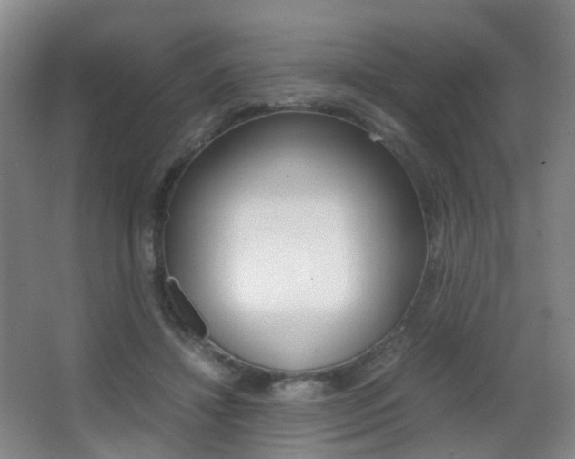 X0000062930452200601131118
