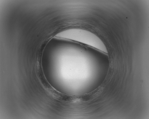 X0000062930456200601131118