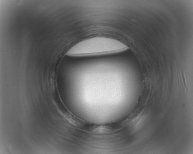 X0000062930460200601131119