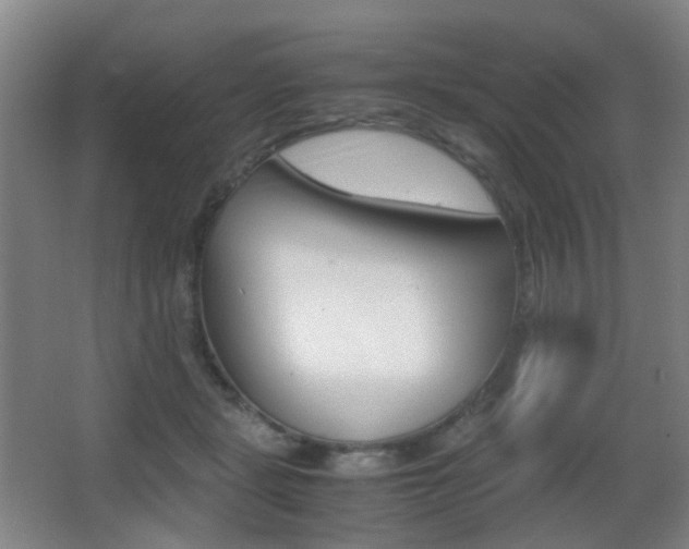 X0000062930461200601131119