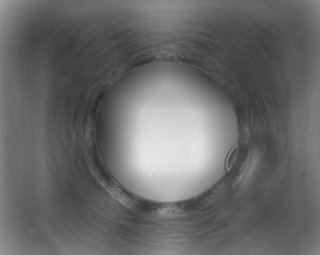 X0000062930468200601131119