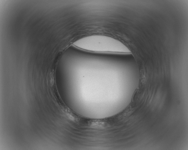 X0000062930471200601131119