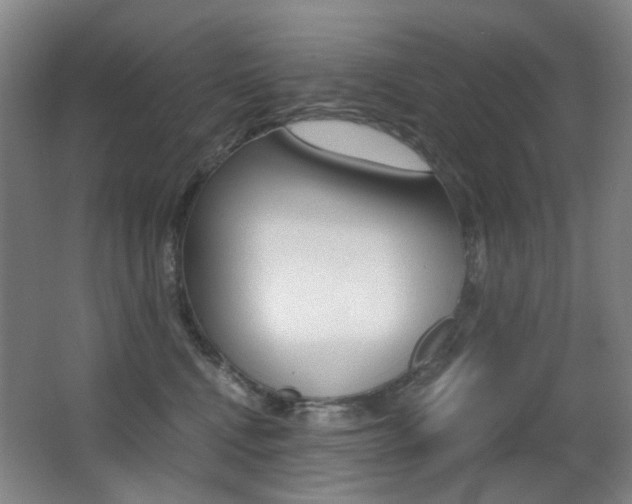 X0000062930472200601131119