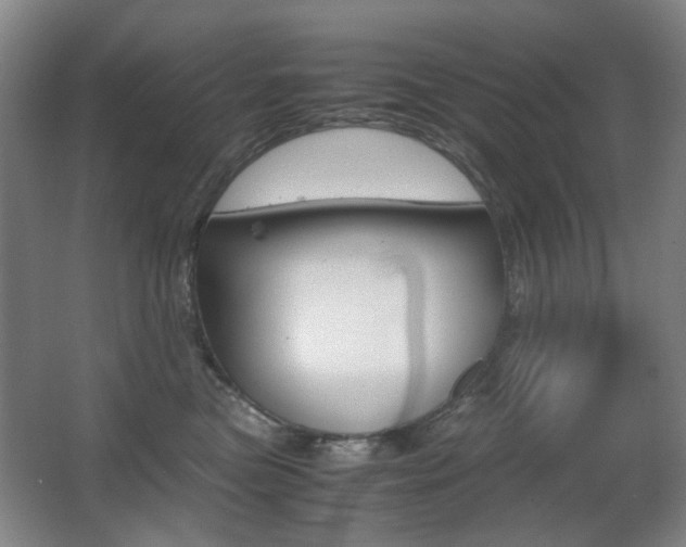 X0000062930473200601131119