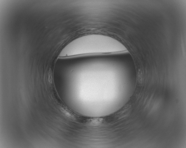 X0000062930474200601131119