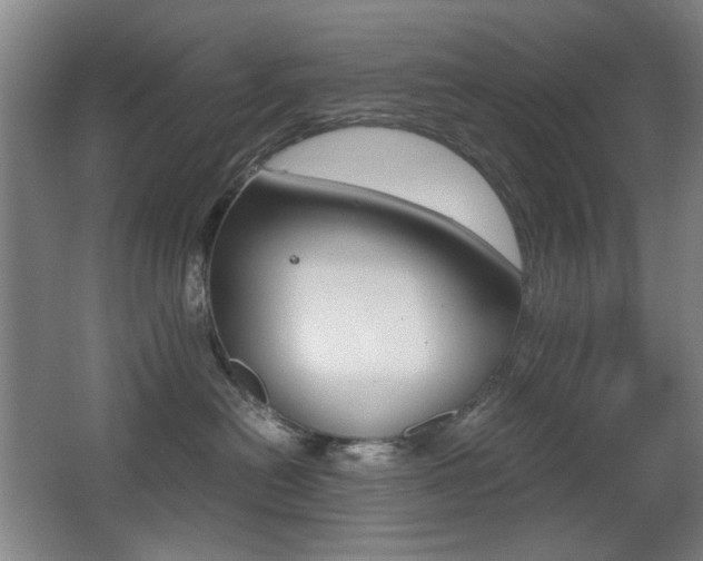 X0000062930478200601131119