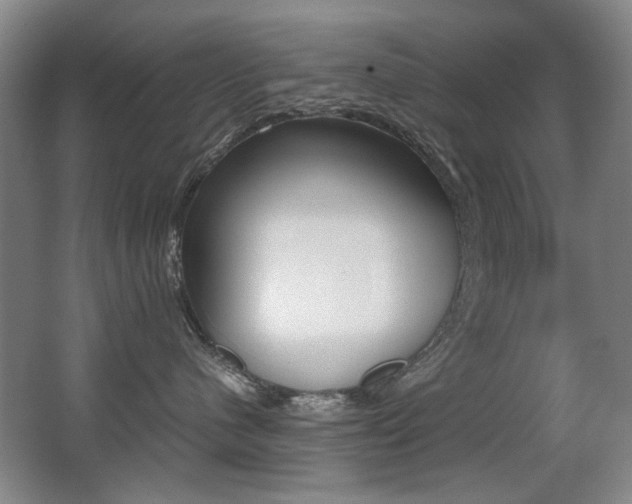 X0000062930480200601131119