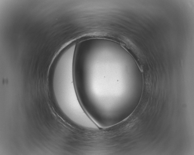 X0000062930484200601131118
