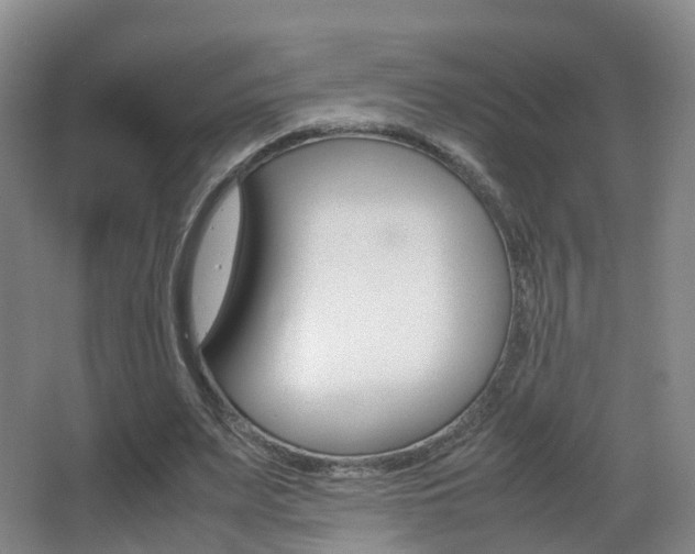 X0000062930487200601131118