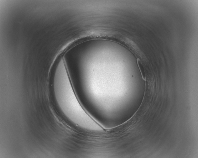 X0000062930488200601131118