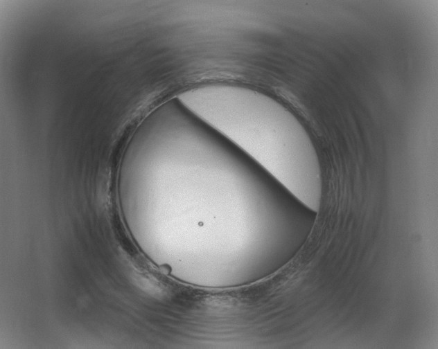 X0000062930490200601131118
