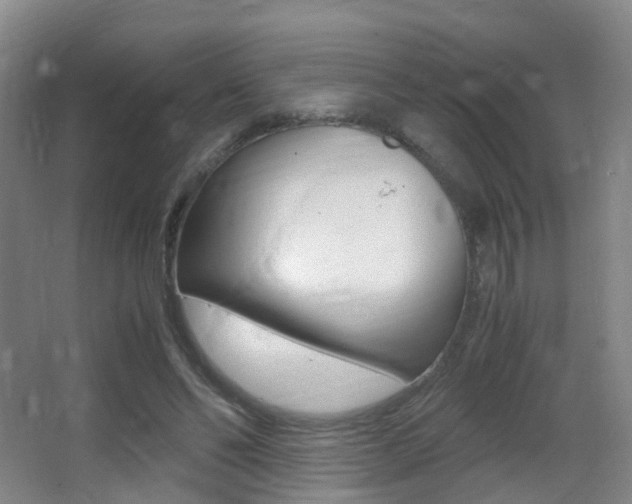 X0000062930494200601131118
