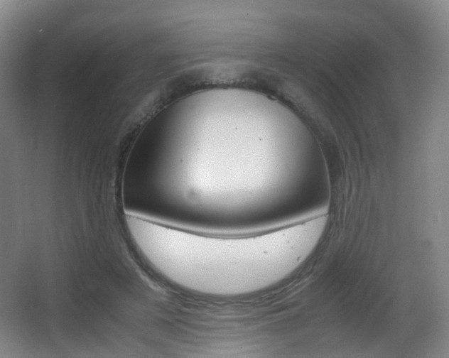 X0000062930497200601131118