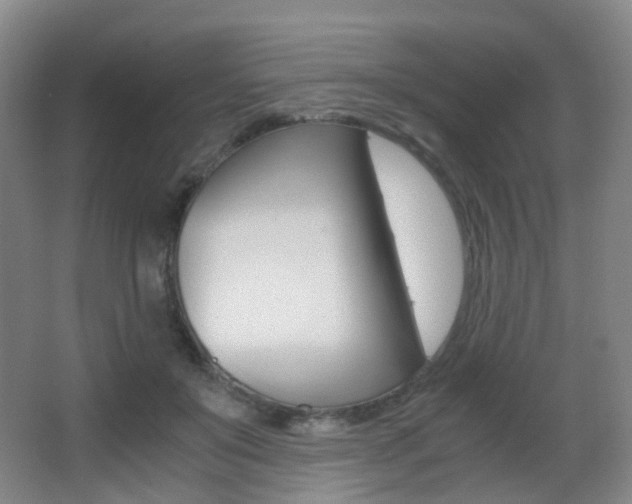 X0000062930503200601131118