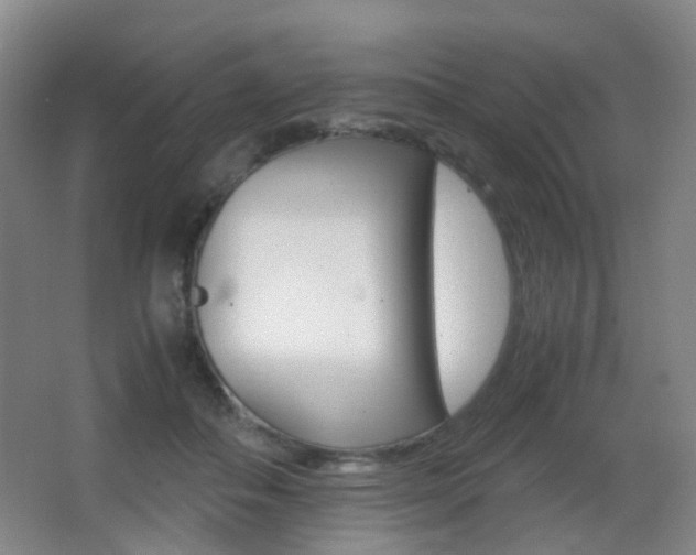 X0000062930506200601131118