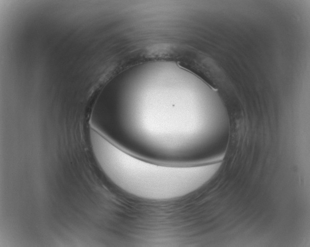 X0000062930508200601131118